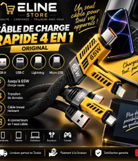 Câble de Charge Rapide 4 en 1 (ORIGINAL)